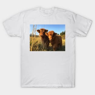 Scottish Highland Cattle Calves 1988 T-Shirt